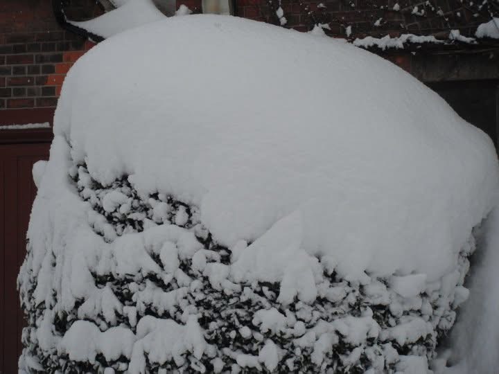 留学1年目の冬。膝下まで雪が積もるほどの大雪でした
