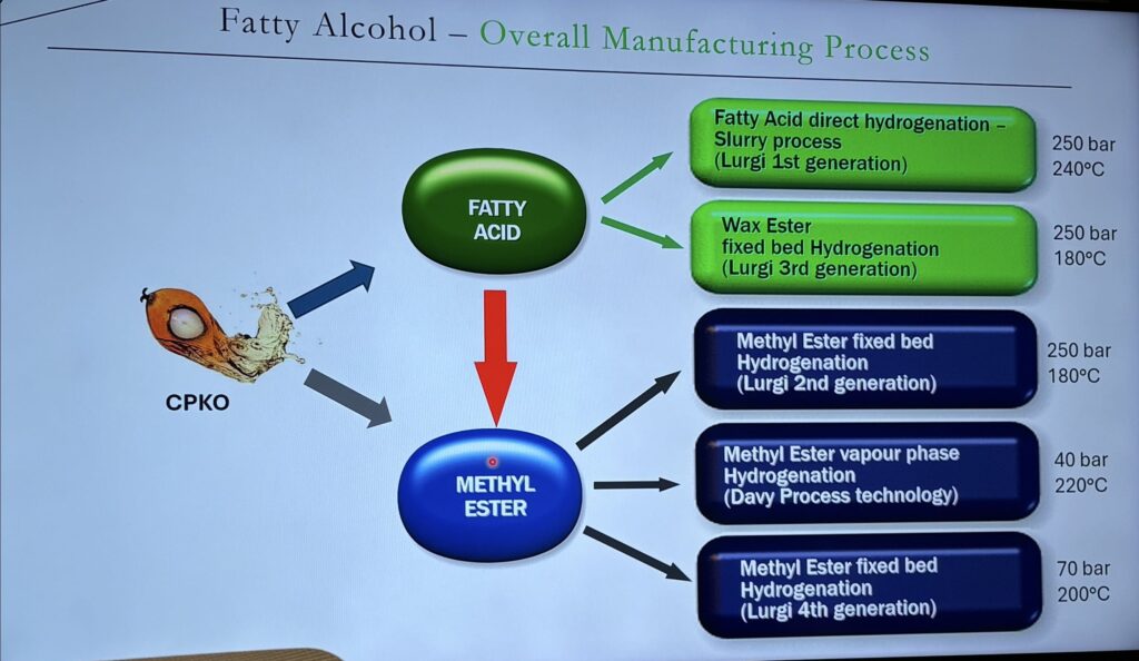 インターンシップの内容