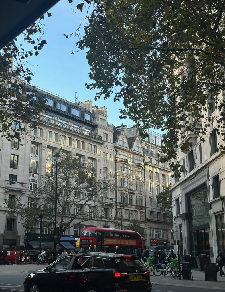 キングスカレッジロンドンのキャンパス周辺の建物